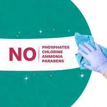 Pollic Kadam Concentrated Glass  Mirror Cleaner Refill Kit With Reusable Spray Bottle